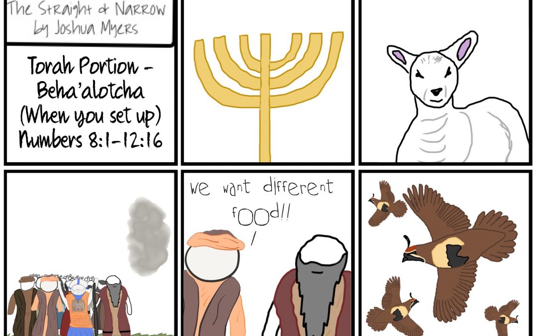 Torah Portion: Beha’alotcha (When you set up) – Numbers 8:1-12:16