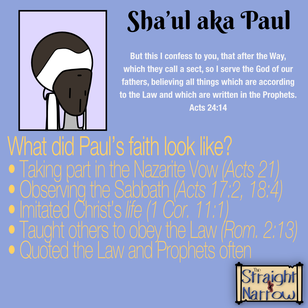 Profiles: Paul